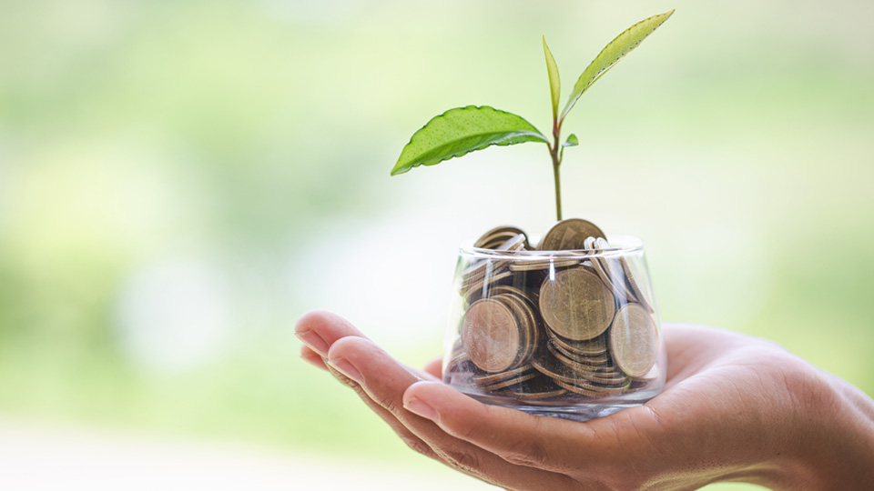 A hand holding a small glass jar filled with coins, from which a small plant is growing.